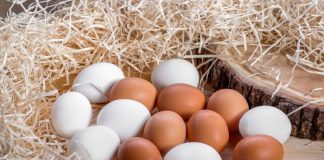 Yumurta Büyüsü Ne İçin ve Nasıl Yapılır? 1